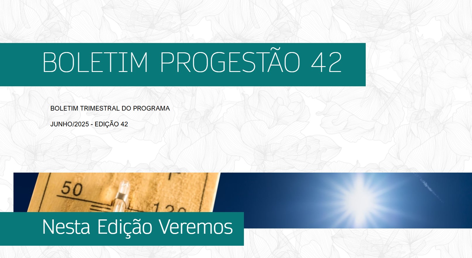 Imagem boletim 42