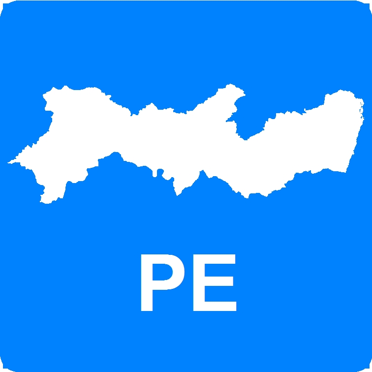 PE